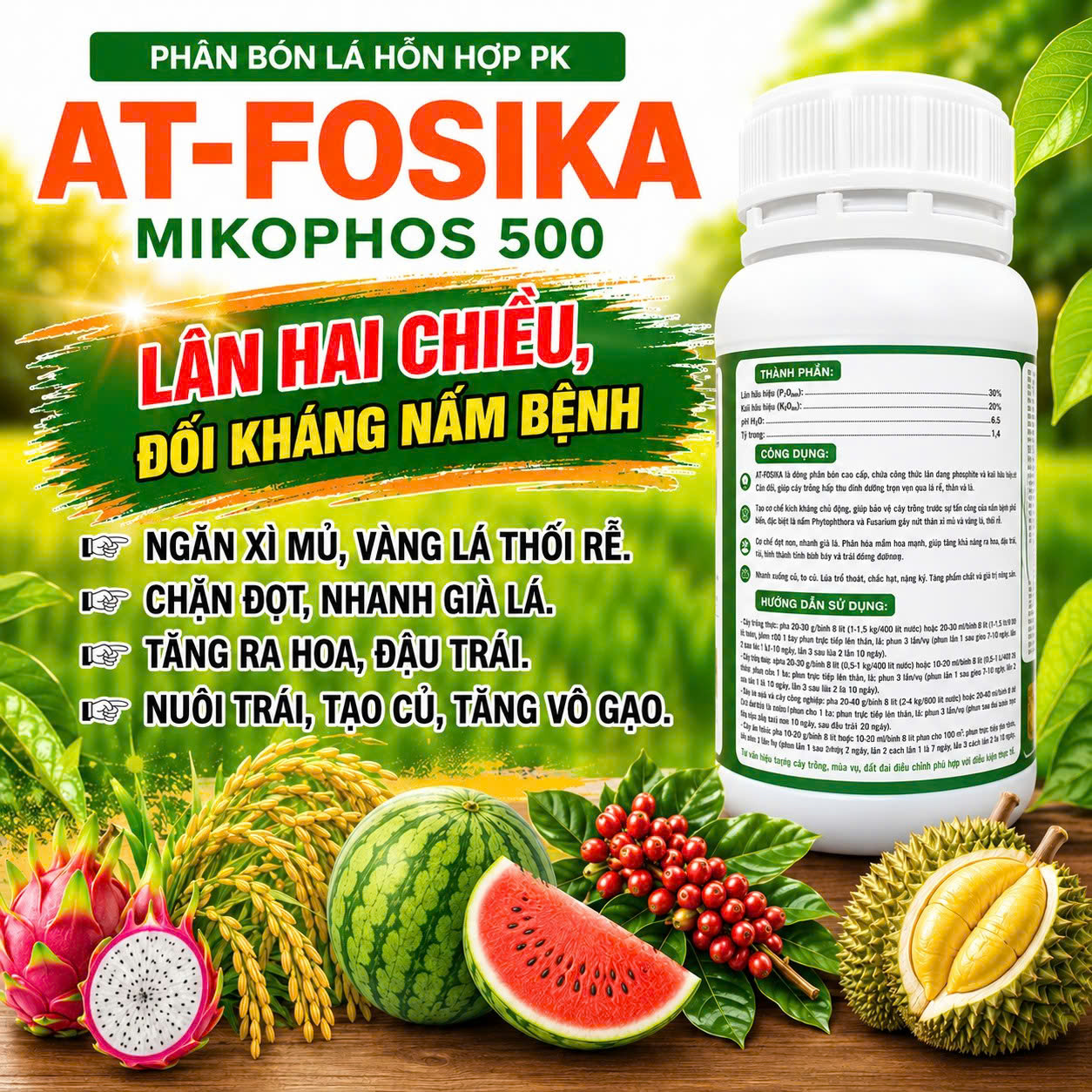 AT-Fosika (Mikophos 500) - Chai 500ml